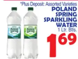 Bravo Supermarkets POLAND SPRING SPARKLING WATER offer