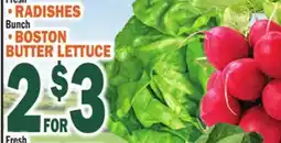 Bravo Supermarkets FRESH RADISHES • BUNCH • BOSTON BUTTER LETTUCE offer