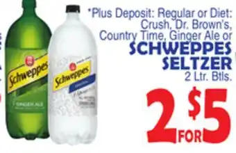Bravo Supermarkets SCHWEPPES SELTZER offer