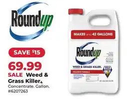 Runnings Roundup Weed & Grass Killer4 offer
