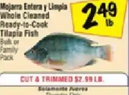 Fiesta Mart Tilapia Fish offer