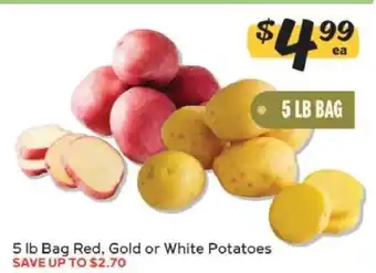 Winn Dixie 5 lb Bag Red, Gold or White Potatoes offer