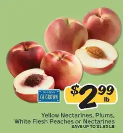 Winn Dixie Yellow Nectarines, Plums, White Flesh Peaches or Nectarines offer