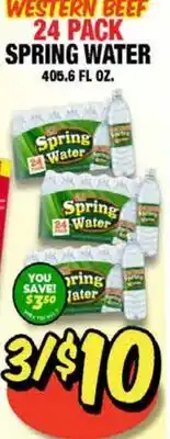 Western Beef WESTERN BEEF 24 PACK SPRING WATER offer