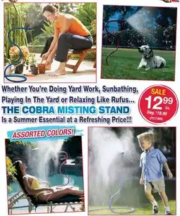 Ace Hardware THE COBRA MISTING STAND offer