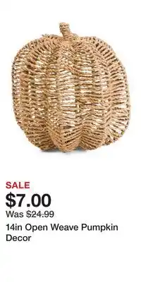 TJ Maxx 14in Open Weave Pumpkin Decor offer