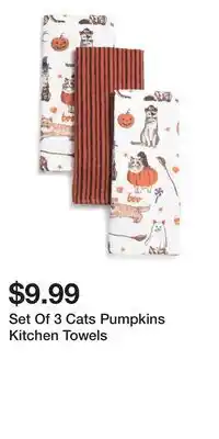TJ Maxx Set Of 3 Cats Pumpkins Kitchen Towels offer
