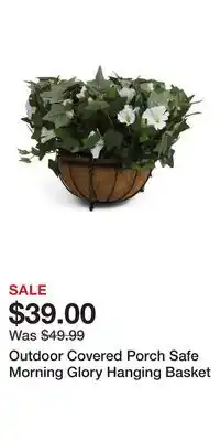 TJ Maxx Outdoor Covered Porch Safe Morning Glory Hanging Basket offer
