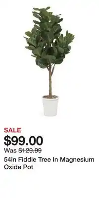TJ Maxx 54in Fiddle Tree In Magnesium Oxide Pot offer