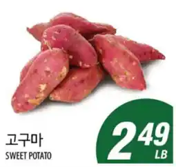 Joong Boo Market SWEET POTATO offer