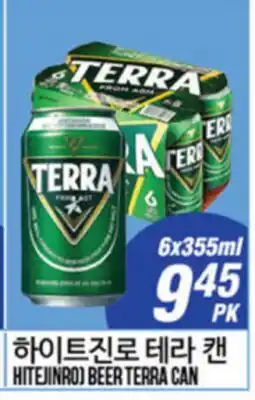 Joong Boo Market HITEJINRO BEER TERRA CAN offer