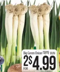 Hmart Big Green Onion offer