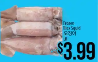 Hmart Frozen Illex Squid offer
