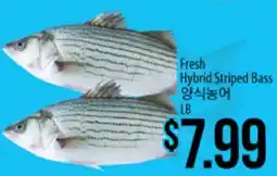 Hmart Fresh Hybrid Striped Bass offer