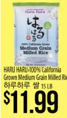 Hmart HARU HARU 100% California Grown Medium Grain Milled Rice offer