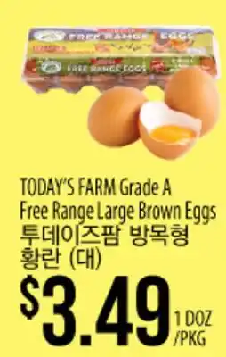 Hmart TODAY'S FARM Grade A Free Range Large Brown Eggs offer
