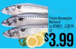Hmart Frozen Norwegian Mackerel offer