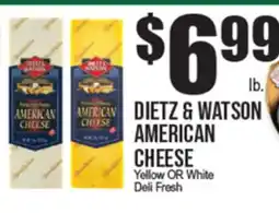 Extra Supermarket DIEBT & WATSON AMERICAN CHEESE offer