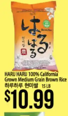 Hmart HARU HARU 100% California Grown Medium Grain Brown Rice offer