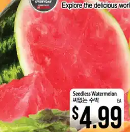 Hmart Seedless Watermelon offer