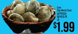 Hmart Live Top Neck Clam offer