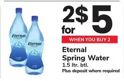 ACME Eternal Spring Water offer