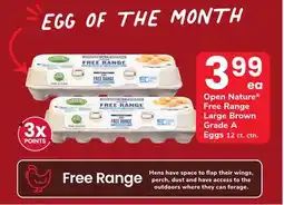ACME Open Nature Free Range Large Brown Grade A Eggs offer