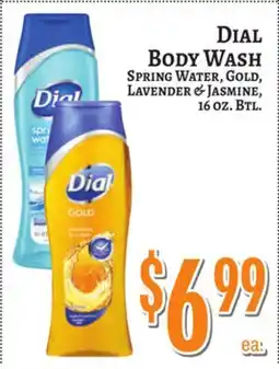 Trade Fair Supermarket DIAL BODY WASH offer