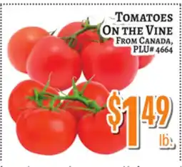 Trade Fair Supermarket TOMATOES ON THE VINE offer