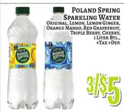 Trade Fair Supermarket Poland Spring Sparkling Water offer