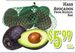 Trade Fair Supermarket Hass Avocados FROM MEXICO, Bag offer