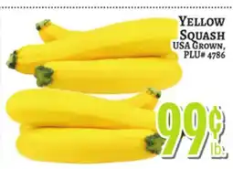 Trade Fair Supermarket YELLOW SQUASH offer