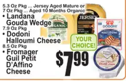 SuperFresh • Landana Gouda Wedge • Dodoni Halloumi Cheese • Fromager Guil Petit D'Affino Cheese offer