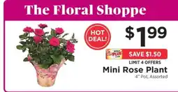 ShopRite Mini Rose Plant offer
