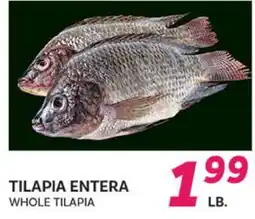 El Paso Grande WHOLE TILAPIA offer