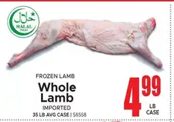 Jetro FROZEN LAMB Whole Lamb offer