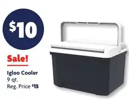 Family Dollar Igloo Cooler offer