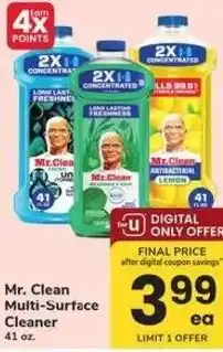Mr. Clean Multi-Surface Cleaner