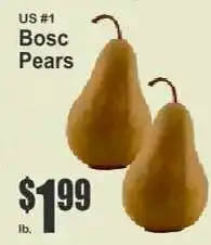 Key Food Bosc Pears offer