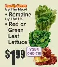 Key Food Locally Grown Lettuce offer