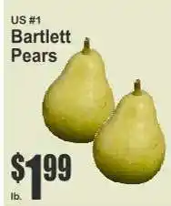 Key Food Bartlett Pears offer