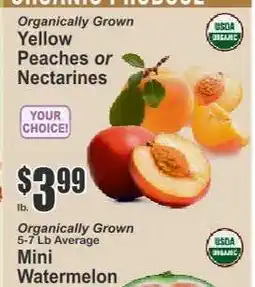 Key Food Organically Grown Yellow Peaches or Nectarines offer