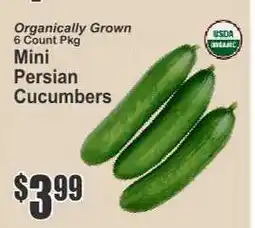 Key Food Mini Persian Cucumbers offer