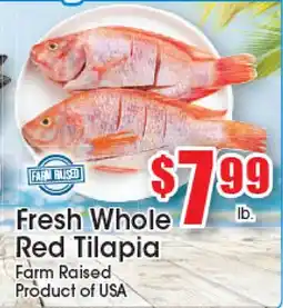 Supremo Foods Inc Fresh Whole Red Tilapia offer