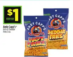 Dollar General Andy Capp's Hot or Cheddar Fries offer