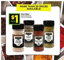 Dollar General Clover Valley Spices or Seasonings offer