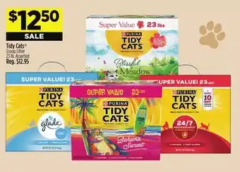Dollar General Tidy Cats Scoop Litter offer