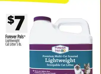 Dollar General Forever Pals Lightweight Cat Litter offer