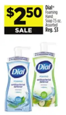 Dollar General Dial Foaming Hand Soap offer