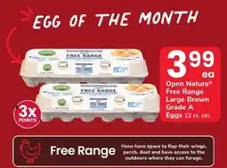 Safeway Open Nature Free Range Large Brown Grade A Eggs offer
